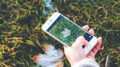 手机看片国产福利永久